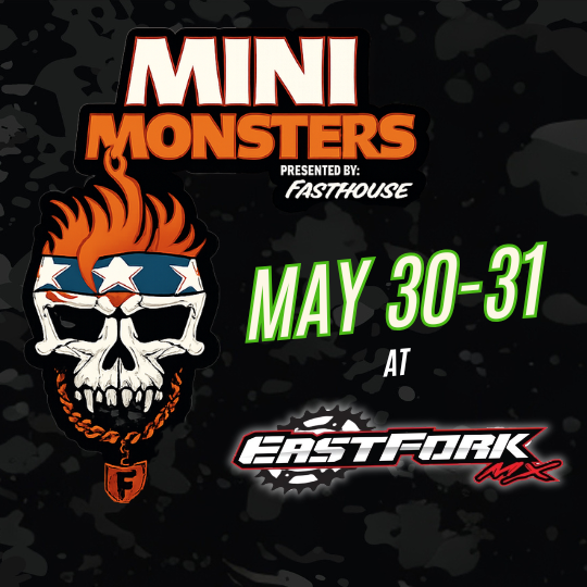 MINI MONSTERS